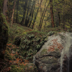 BB2A0285-CR3_DxO_DeepPRIME-1