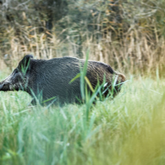 BB2A9569-CR3_DxO_PRIME